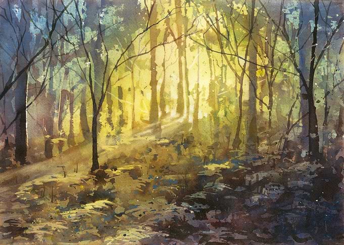 Sunlit Forest Path Colorful Landscape