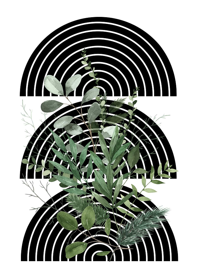 Green Leaves & Black Arcs