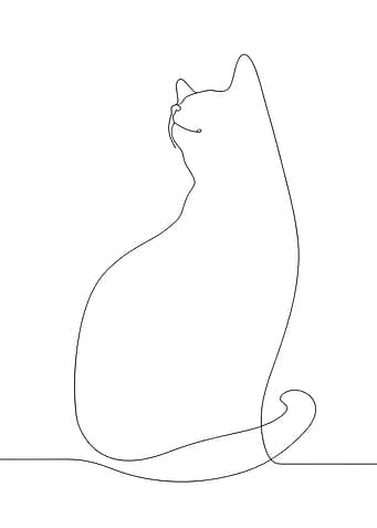 One Line Cat Drawing