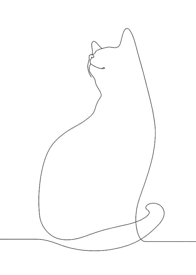 One Line Cat Drawing