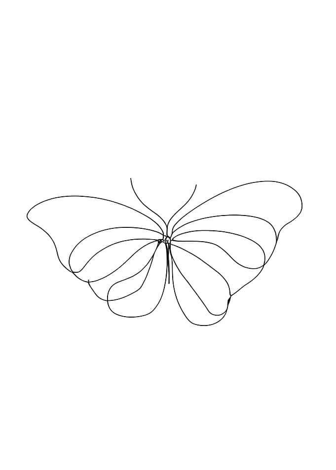 Line Art Butterfly