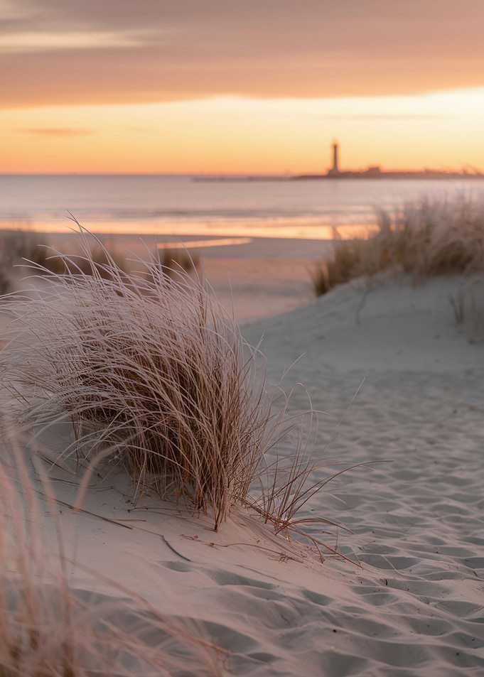 Beach Sunset with Grass