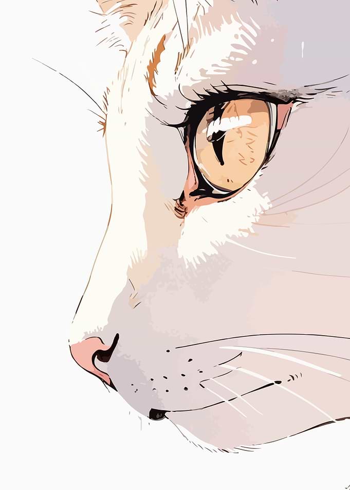 Cat Eye Close-Up