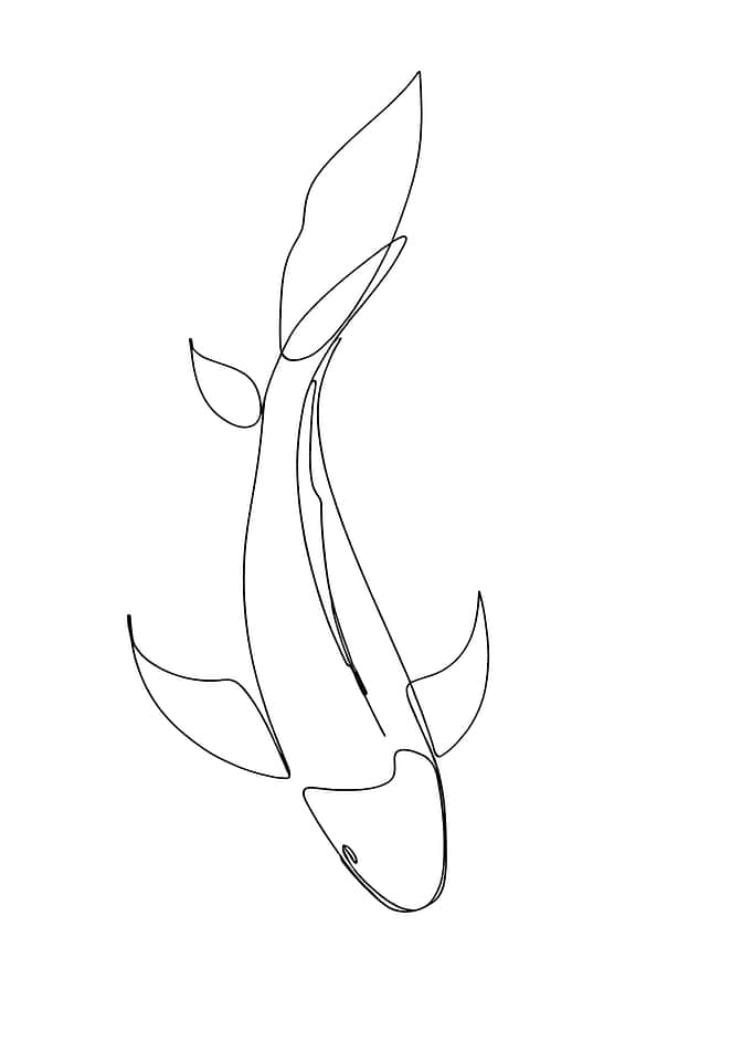 Koi Fish Line Art