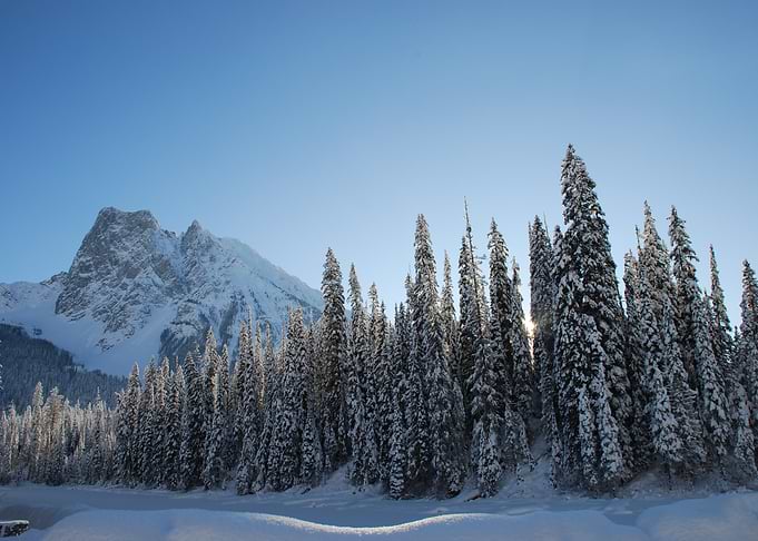 Snowy Mountain & Forest