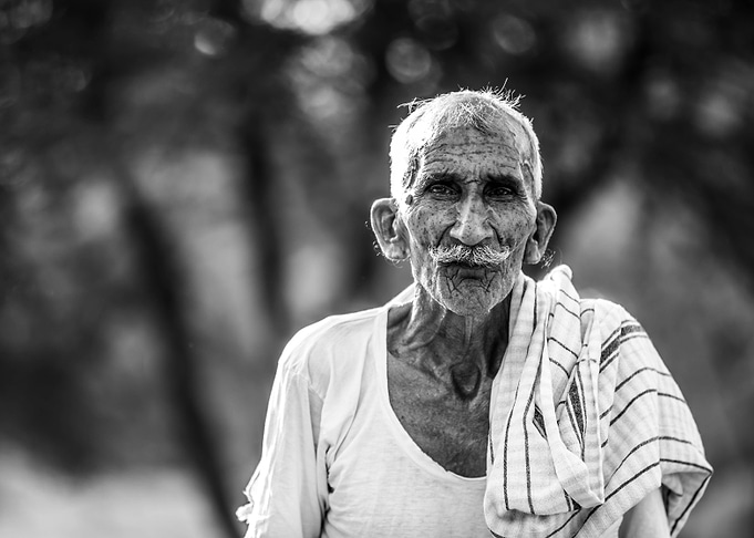 Elderly Man Portrait