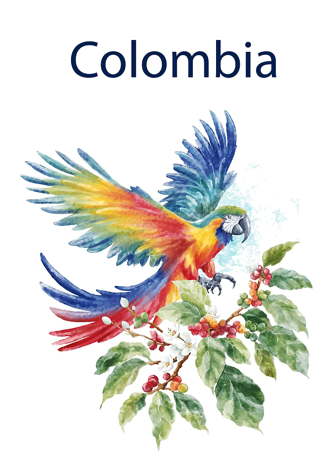 Colombia Parrot
