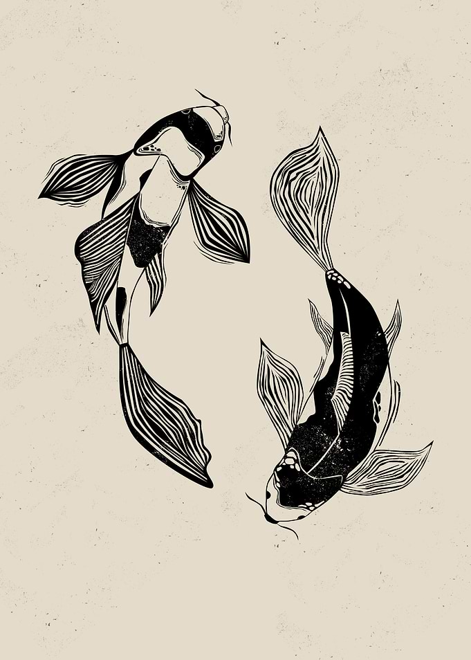 Koi Fish Line Art