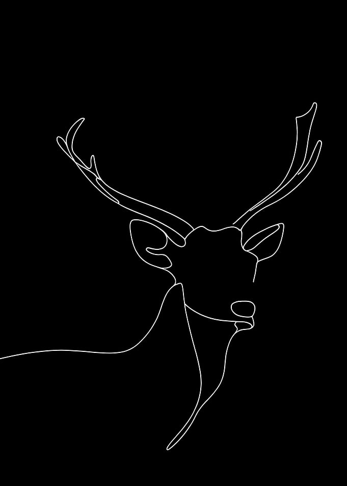 Line Art Deer