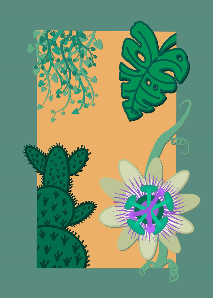 Tropical Plants