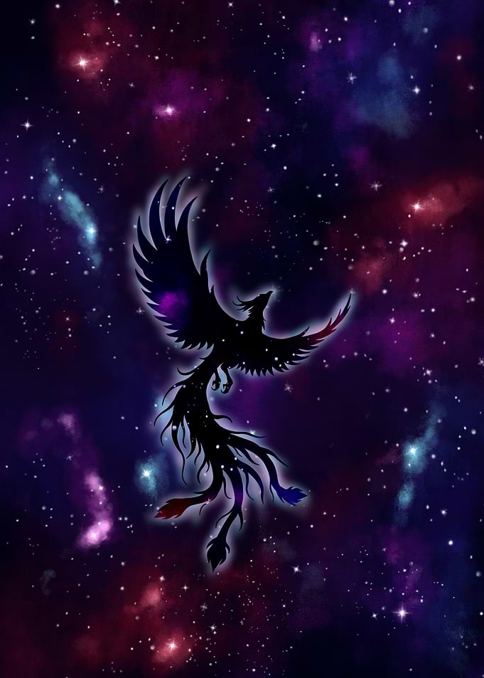 Cosmic Phoenix Silhouette