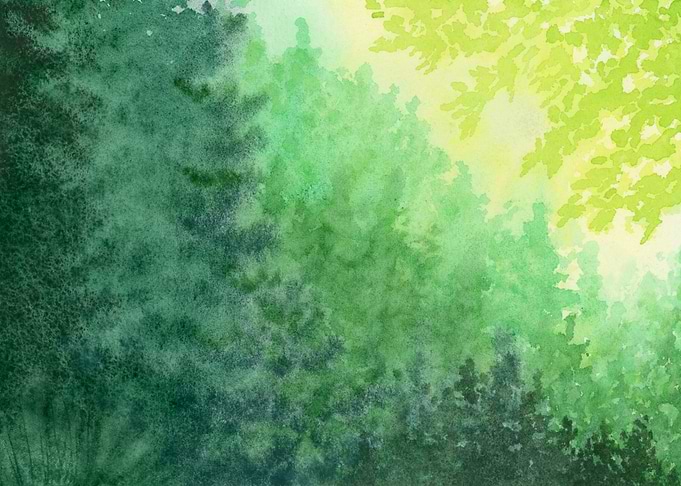 Watercolor Forest
