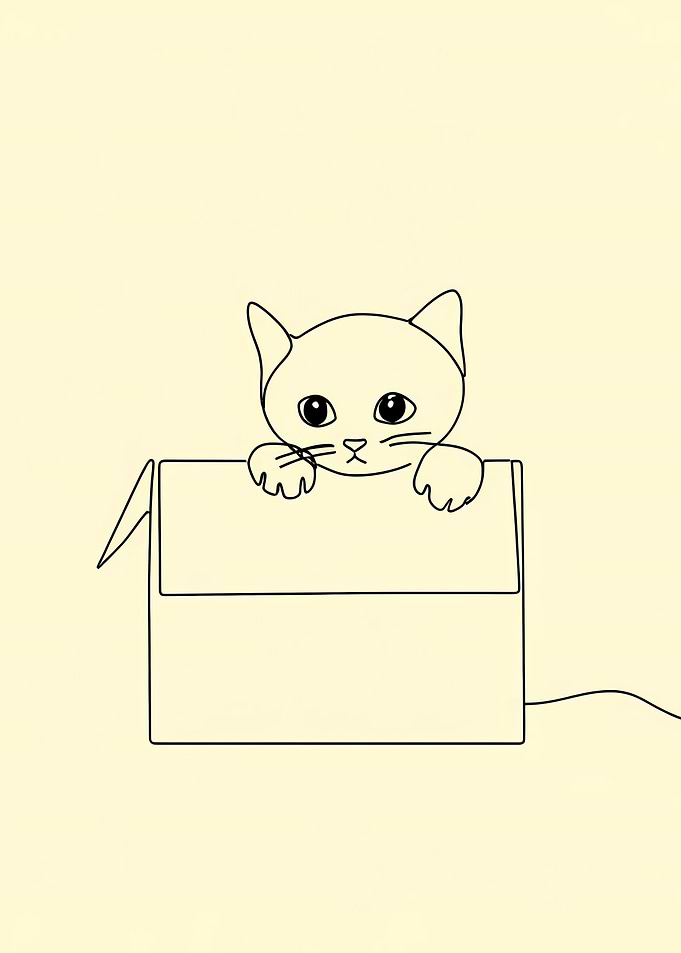 Cat in a Box Line Art