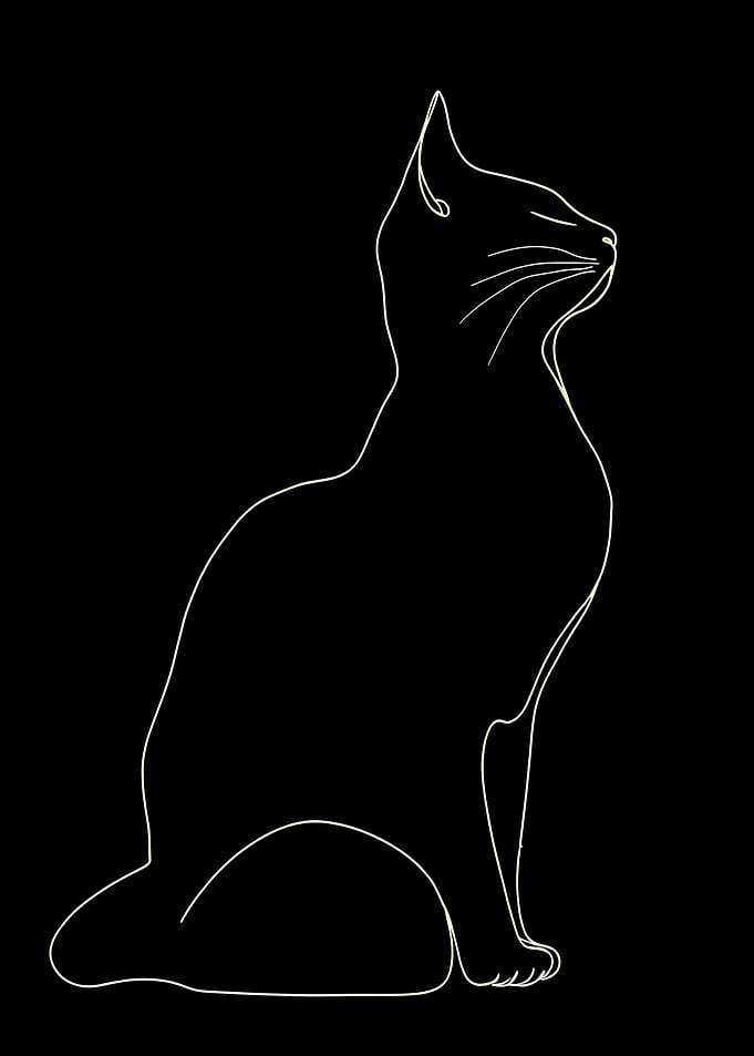 Cat Line Art