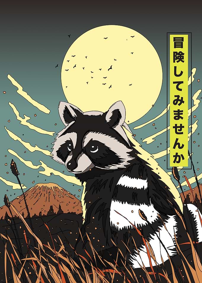 Raccoon Under the Moon