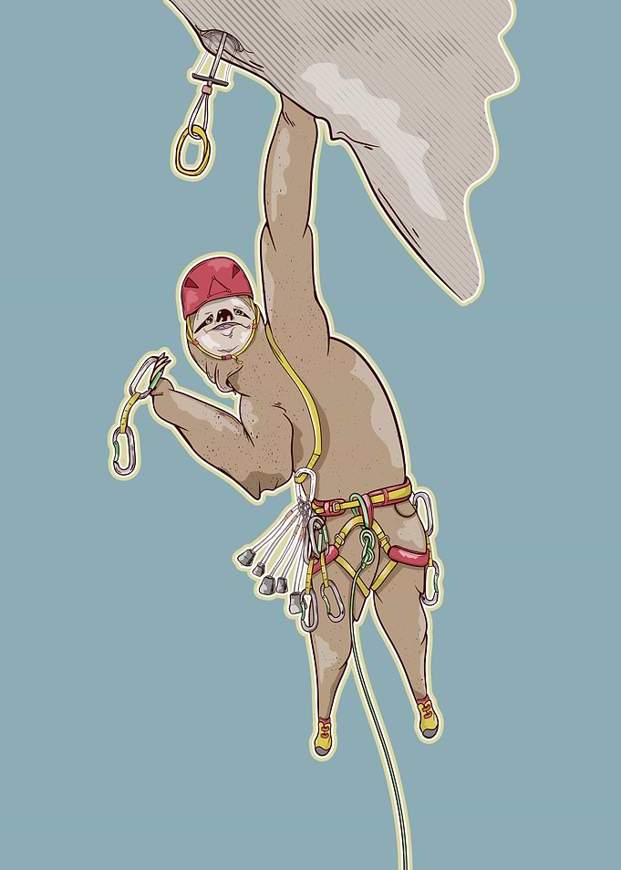 Sloth Rock Climbing