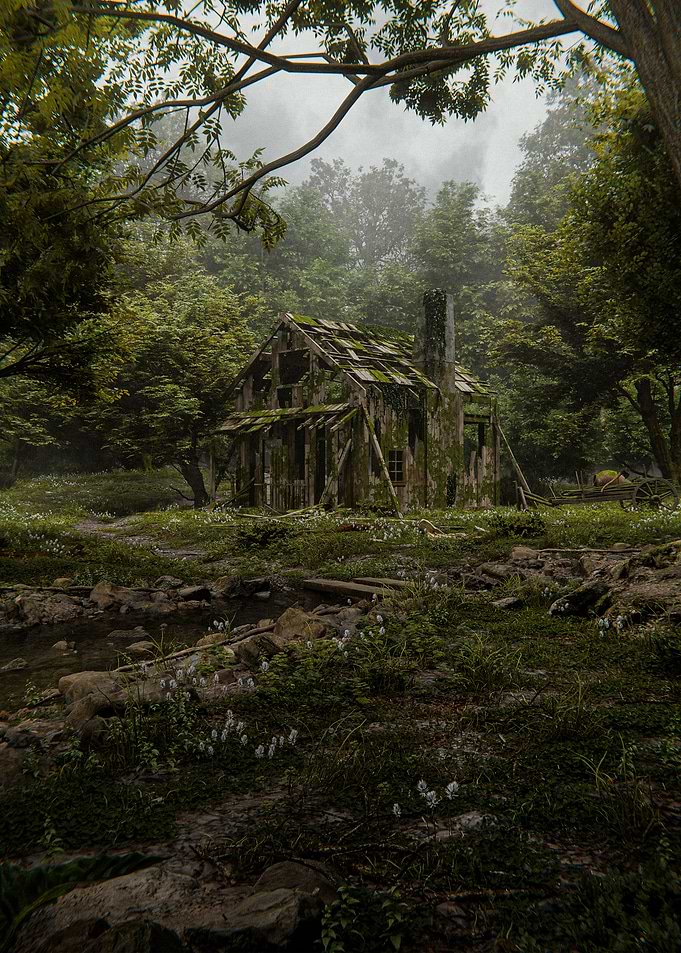Abandoned Cabin in Forest