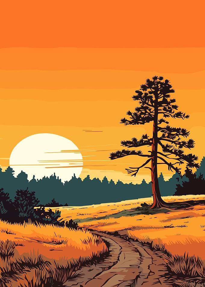 Sunset Forest Path