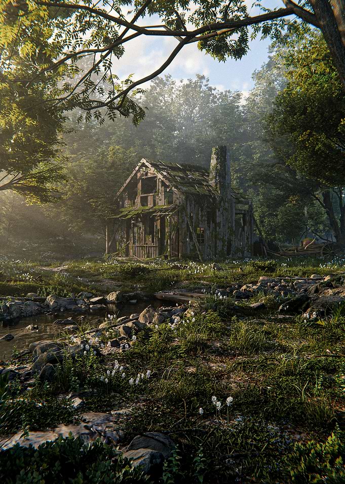 Abandoned Cabin in Forest