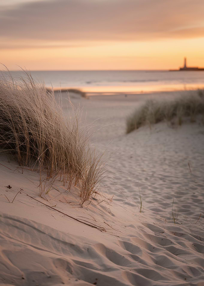 Beach Sunset with Grass