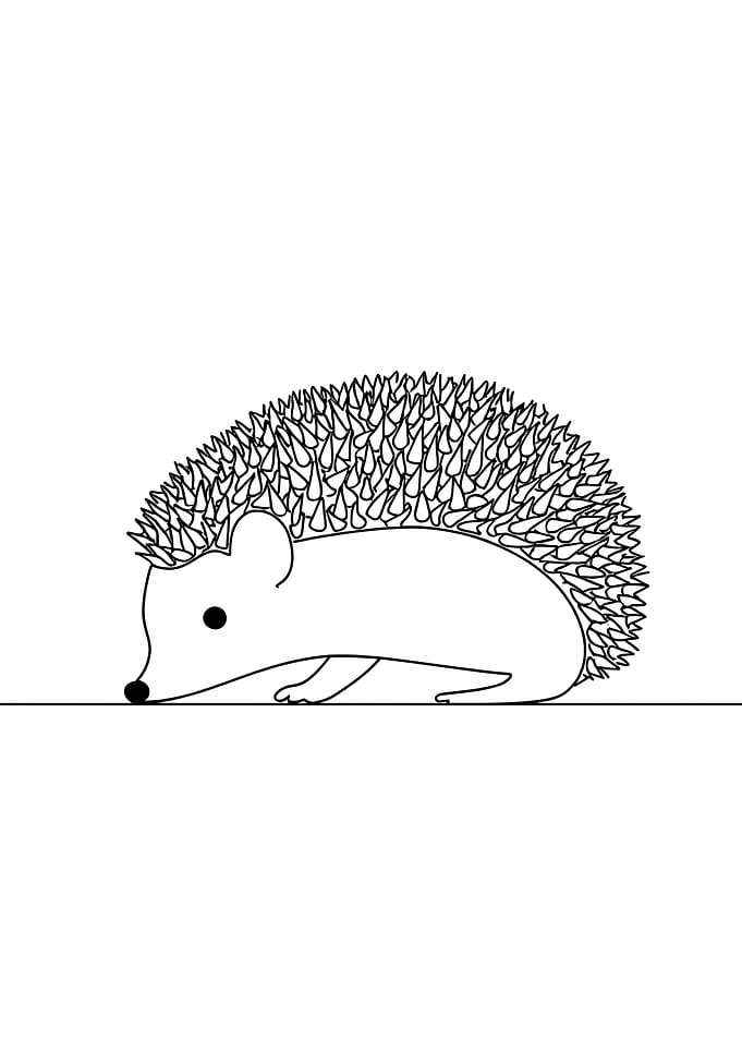Hedgehog Line Art