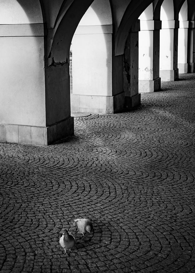 Pigeons Under Arches
