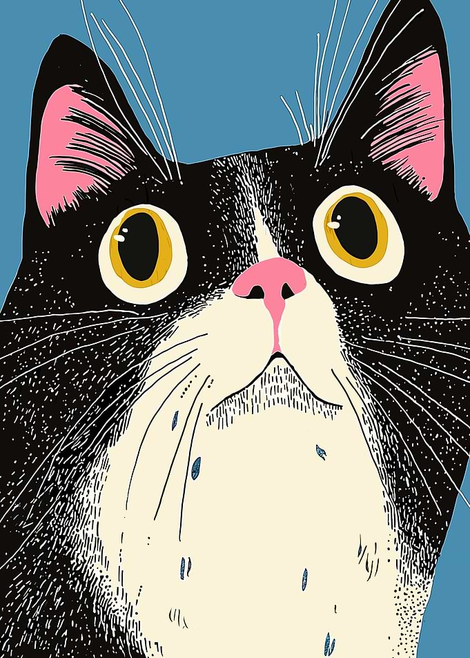 Curious Cat Illustration