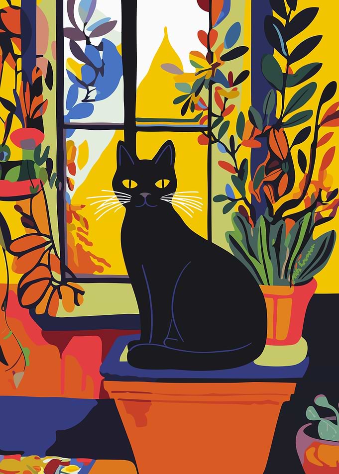 Black Cat by Window