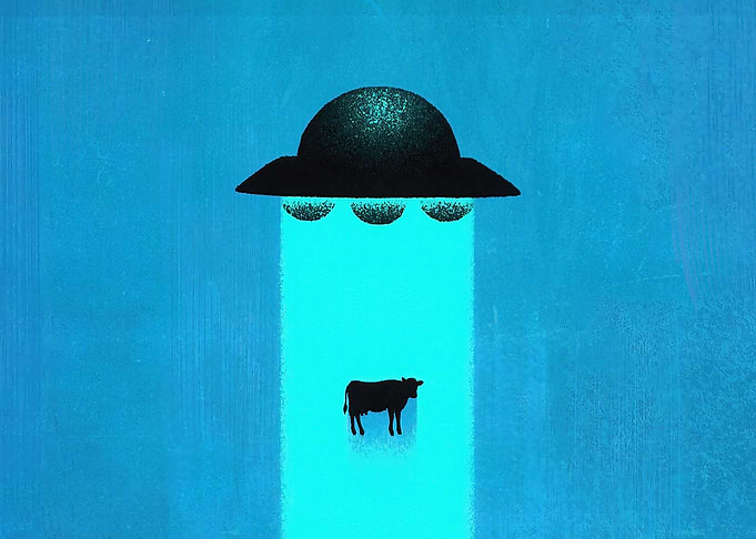 Cow Abduction