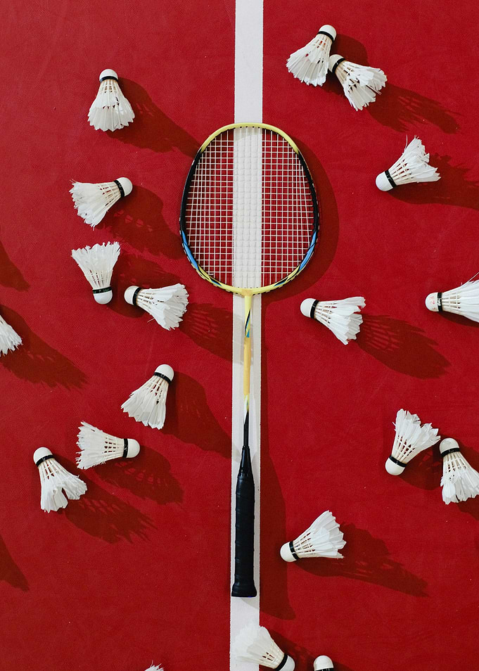 Badminton Racket and Shuttlecocks