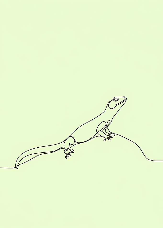 Lizard Line Art