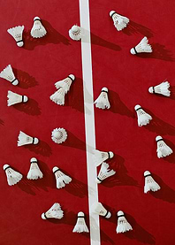 Badminton Shuttlecocks