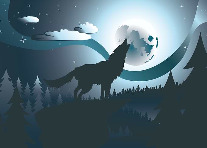 Wolf Howling at the Moon