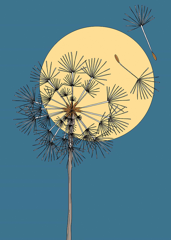 Dandelion Seeds