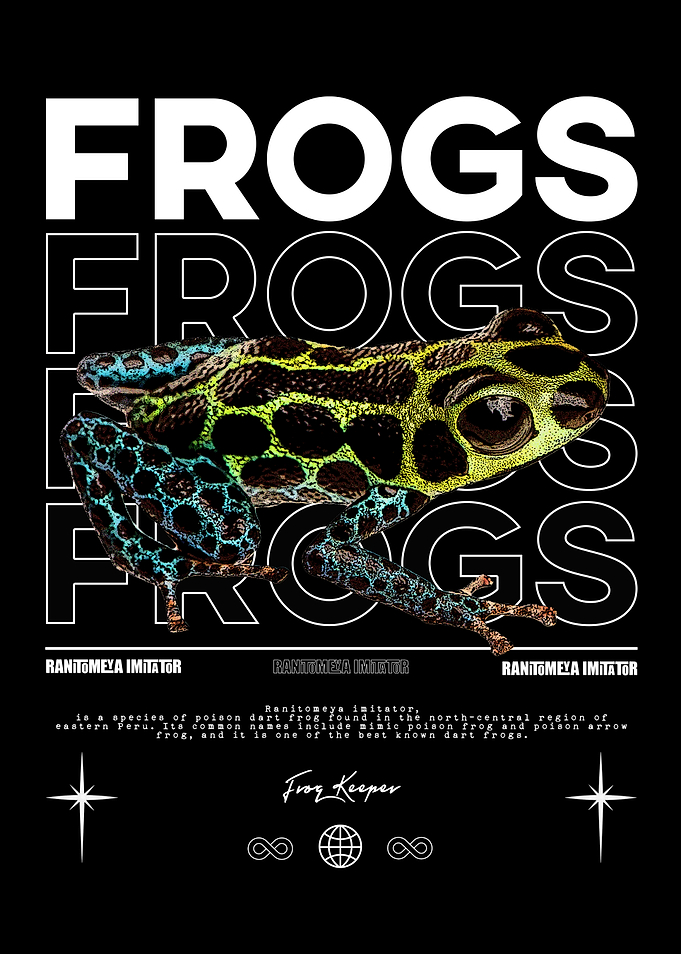 Ranitomeya Imitator Poison Dart Frog