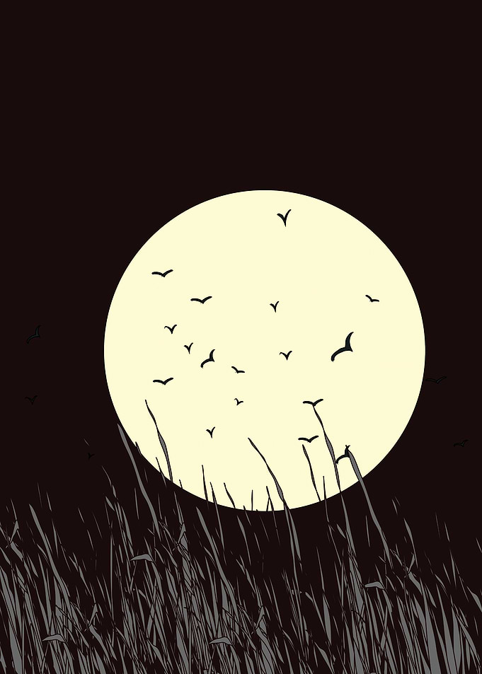Full Moon Night