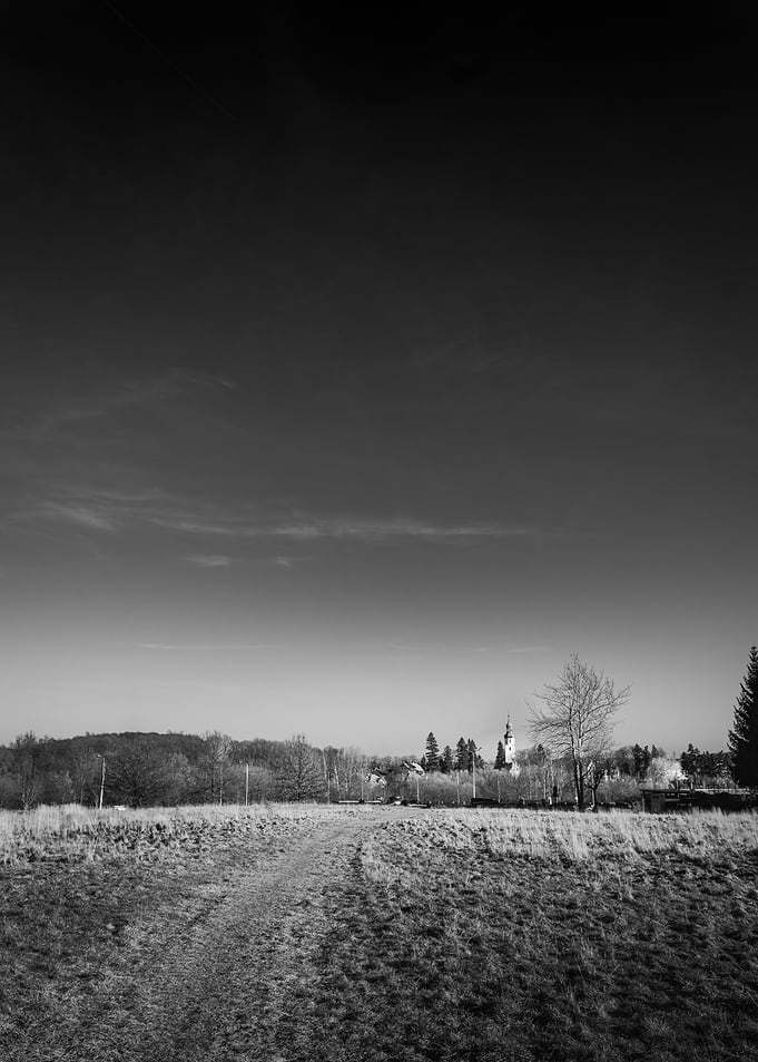 Black and White Countryside
