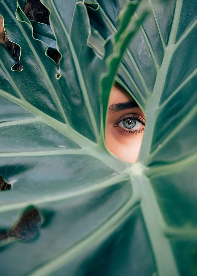 Eye Through Leaves