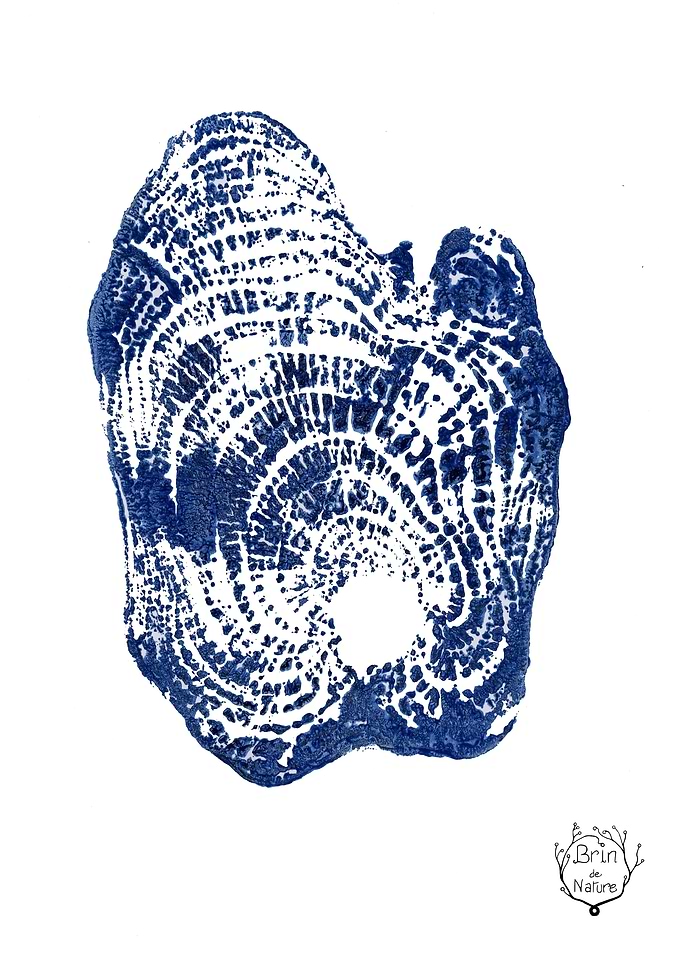 Empreinte Bleu