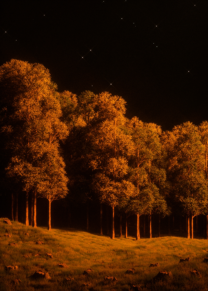 Solitude