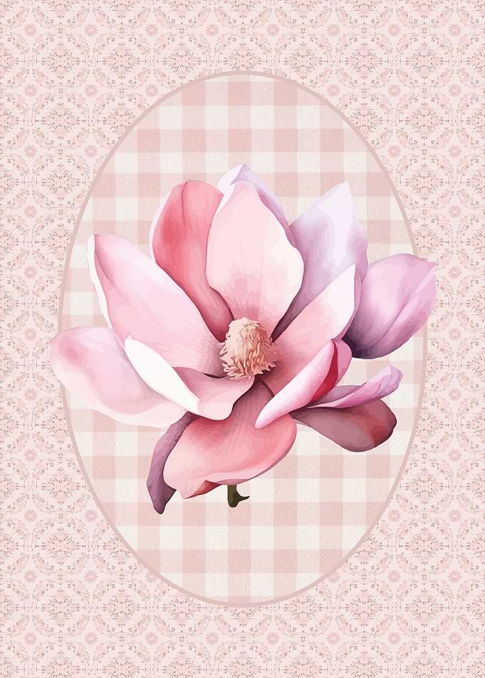 Pink Magnolia Flower