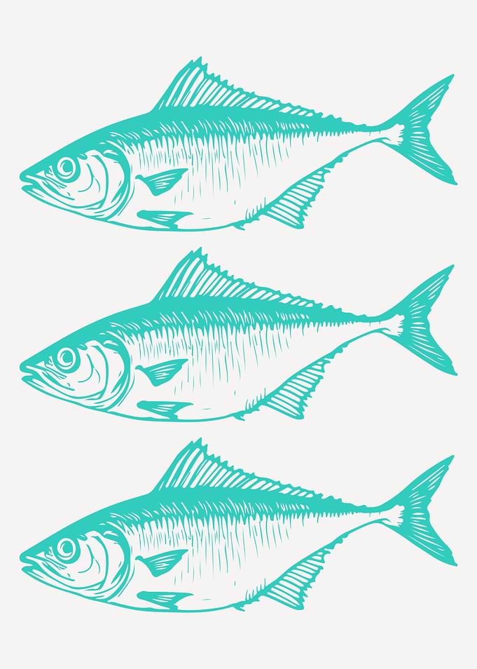 Teal Fish Coastal Beach Art