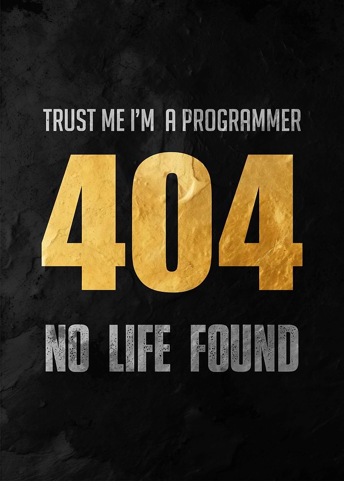 Programmer 404