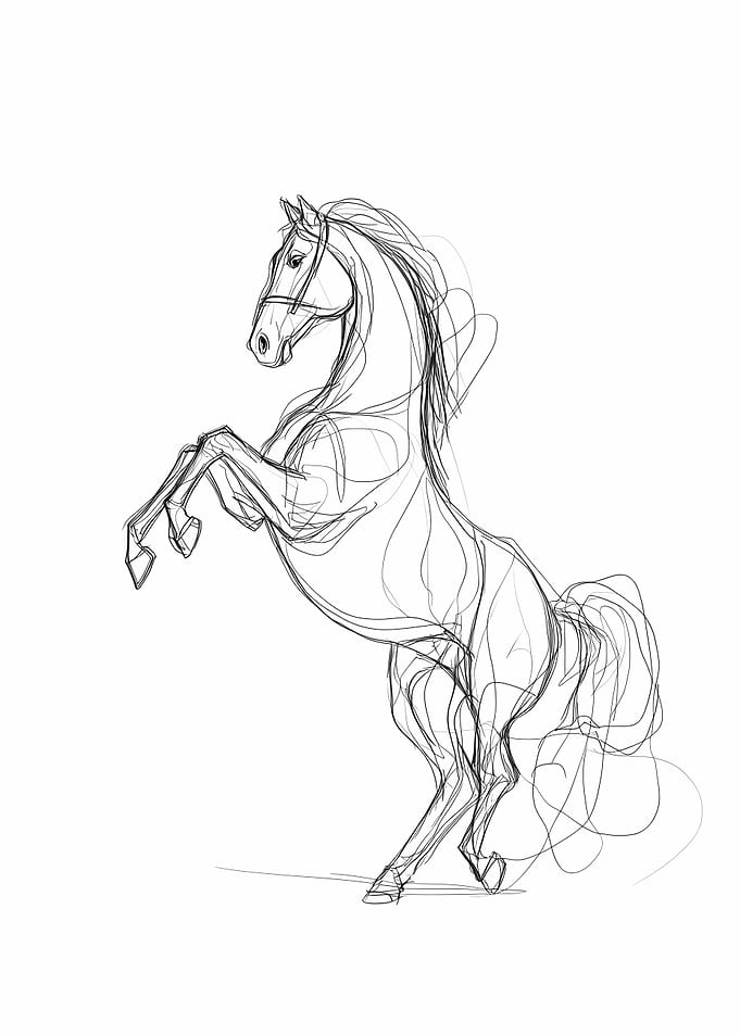 Horse Sketch