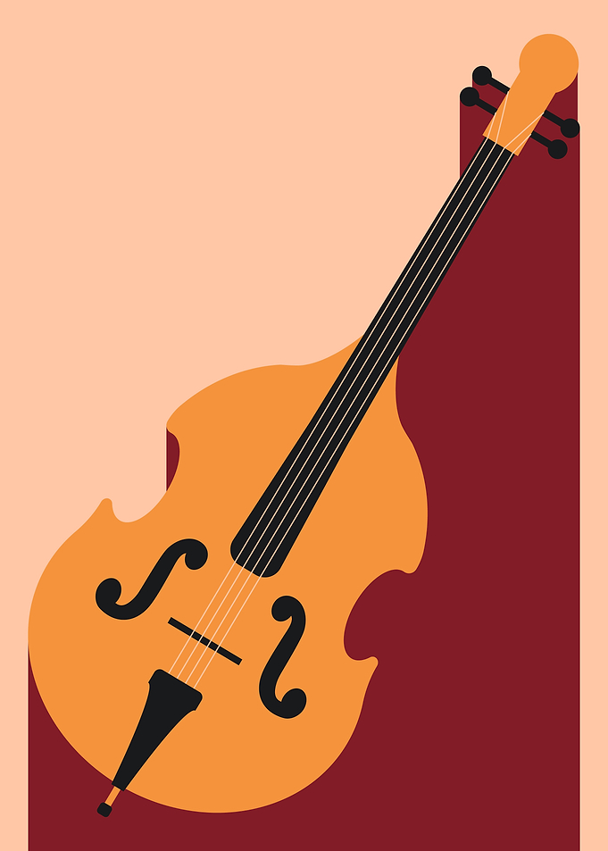 Double Bass Illustration