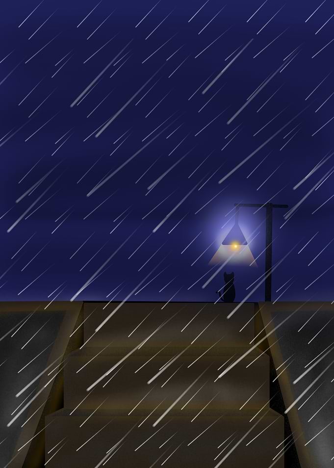 Rainy Night with Cat