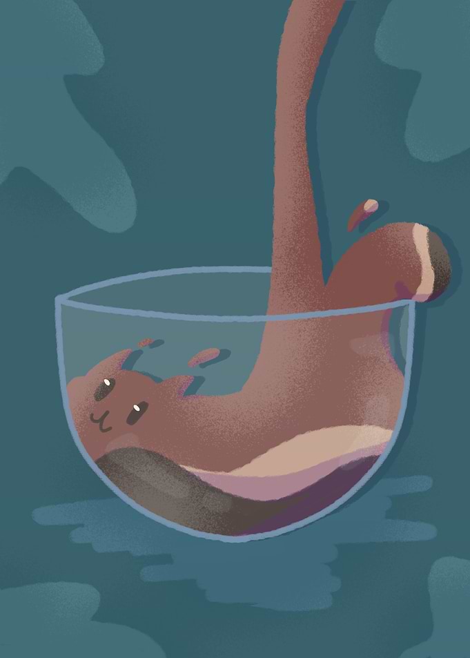 All cats are liquids