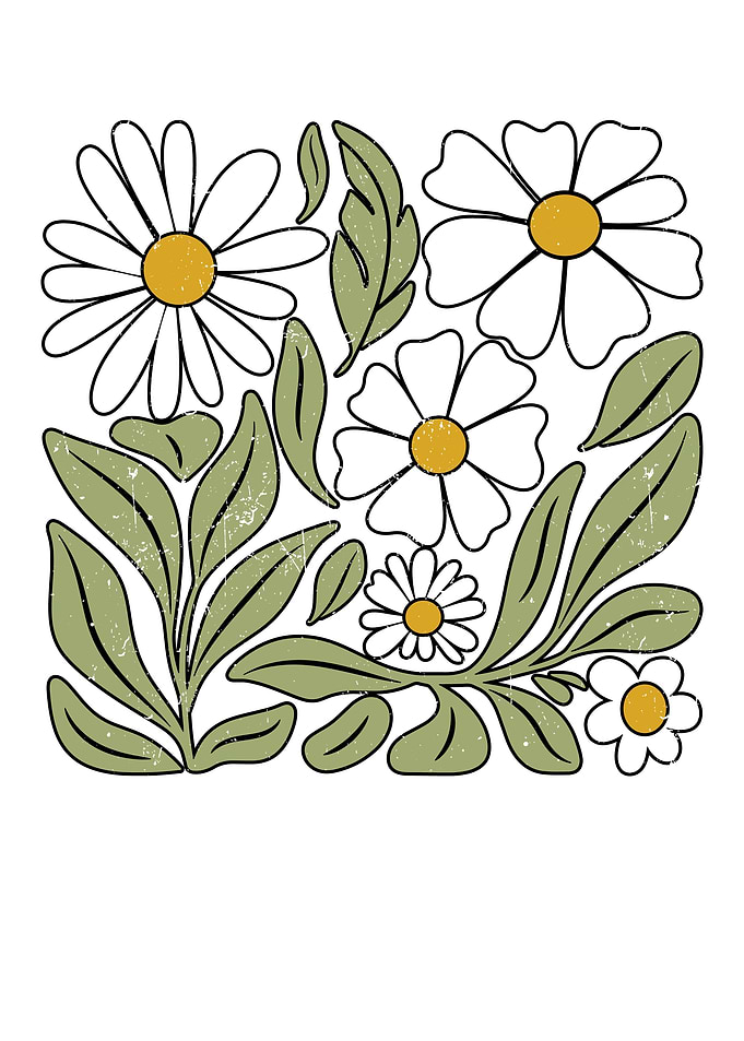 Daisy Floral Illustration