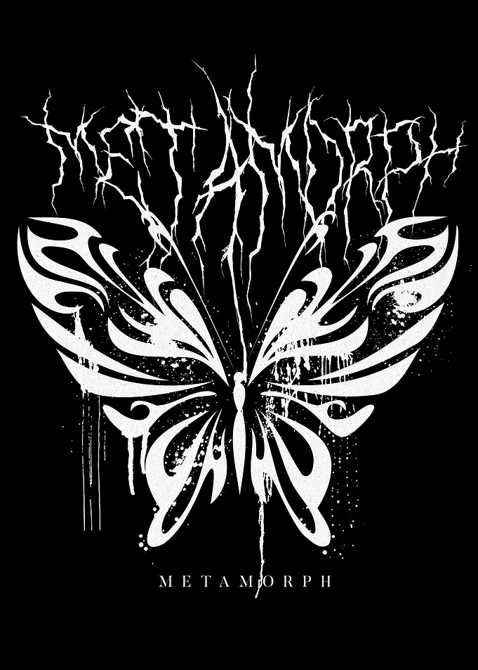 Metamorphosis Butterfly Poster