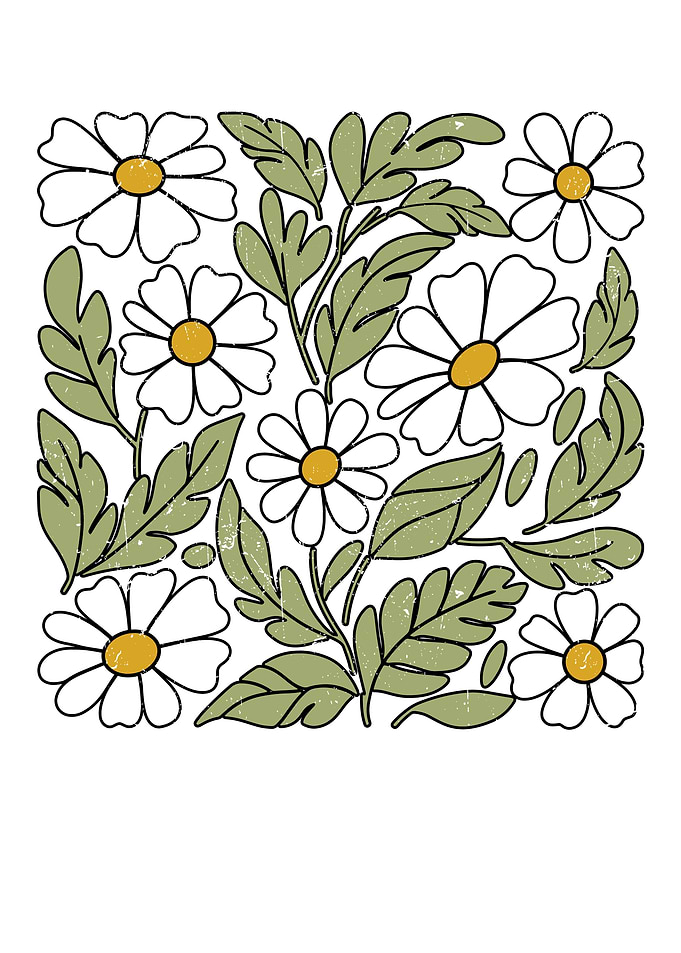 Daisy Floral Pattern